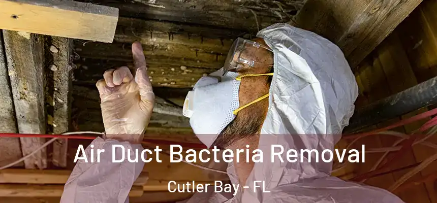  Air Duct Bacteria Removal Cutler Bay - FL