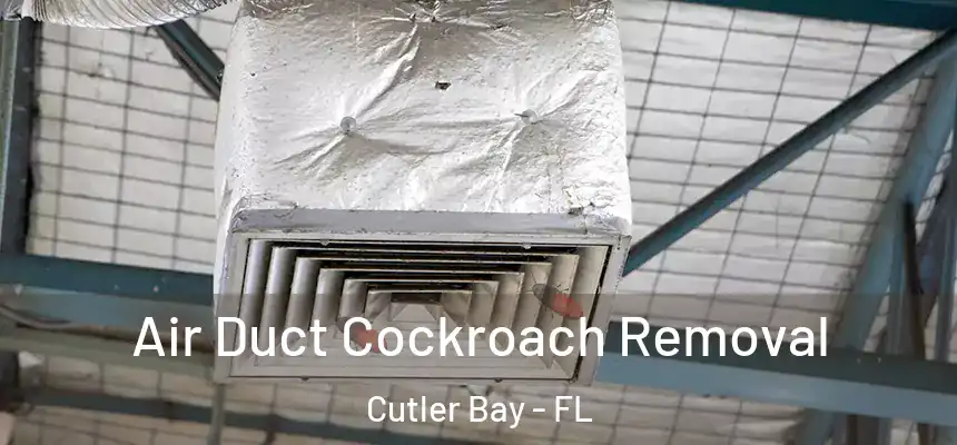  Air Duct Cockroach Removal Cutler Bay - FL