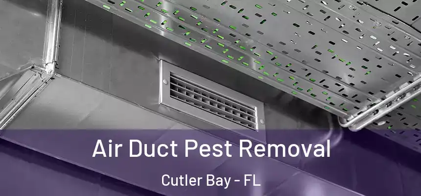  Air Duct Pest Removal Cutler Bay - FL