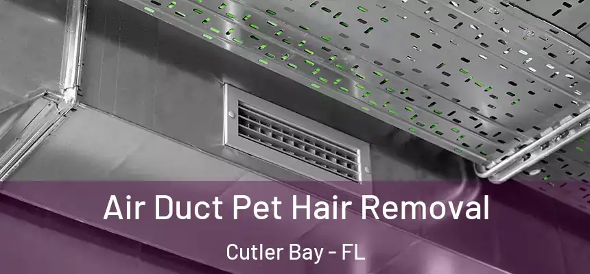  Air Duct Pet Hair Removal Cutler Bay - FL