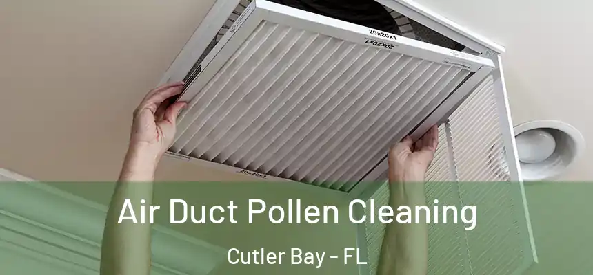 Air Duct Pollen Cleaning Cutler Bay - FL