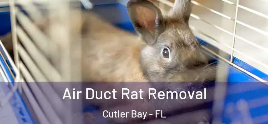  Air Duct Rat Removal Cutler Bay - FL