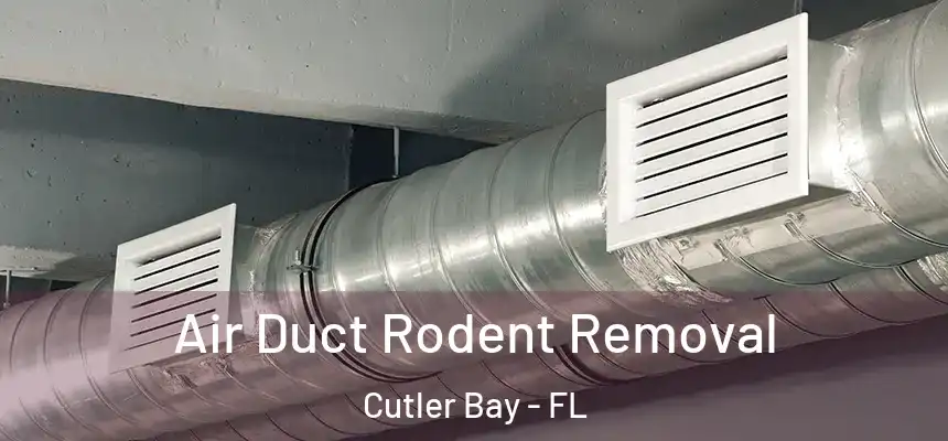  Air Duct Rodent Removal Cutler Bay - FL