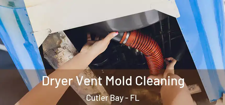  Dryer Vent Mold Cleaning Cutler Bay - FL
