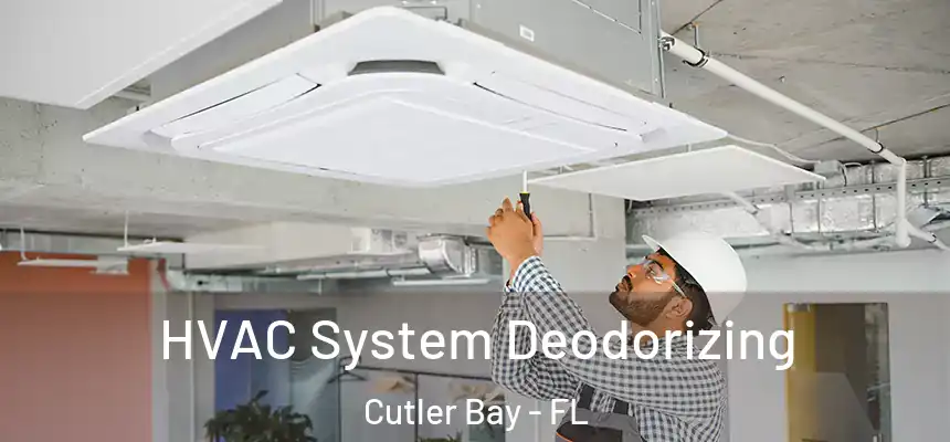  HVAC System Deodorizing Cutler Bay - FL