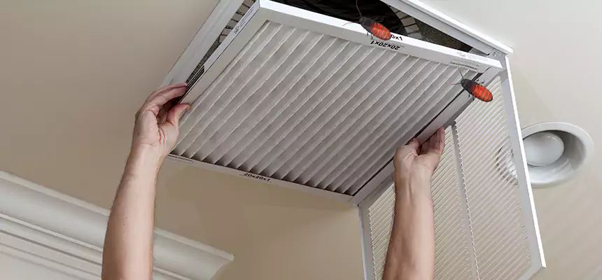 Preventive Cockroach-Proofing for Ducts in Cutler Bay