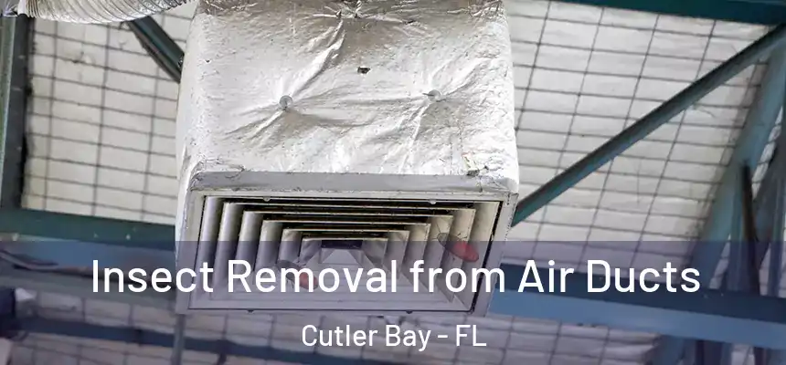  Insect Removal from Air Ducts Cutler Bay - FL