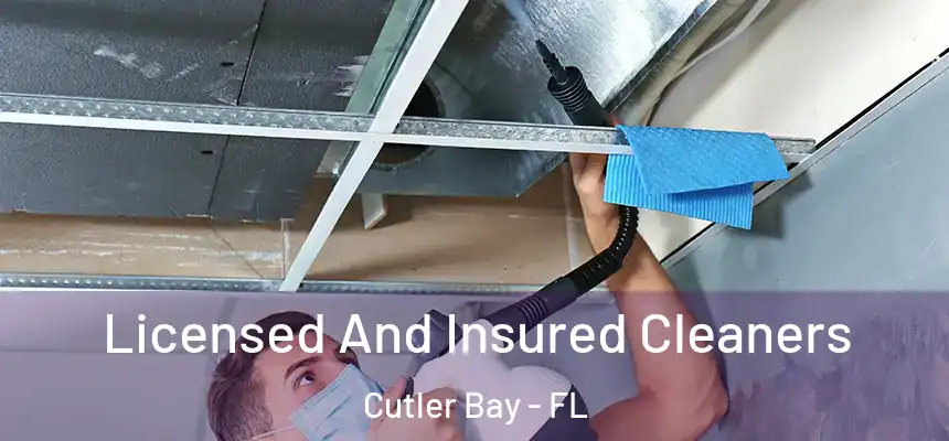  Licensed And Insured Cleaners Cutler Bay - FL