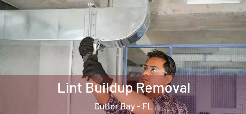  Lint Buildup Removal Cutler Bay - FL