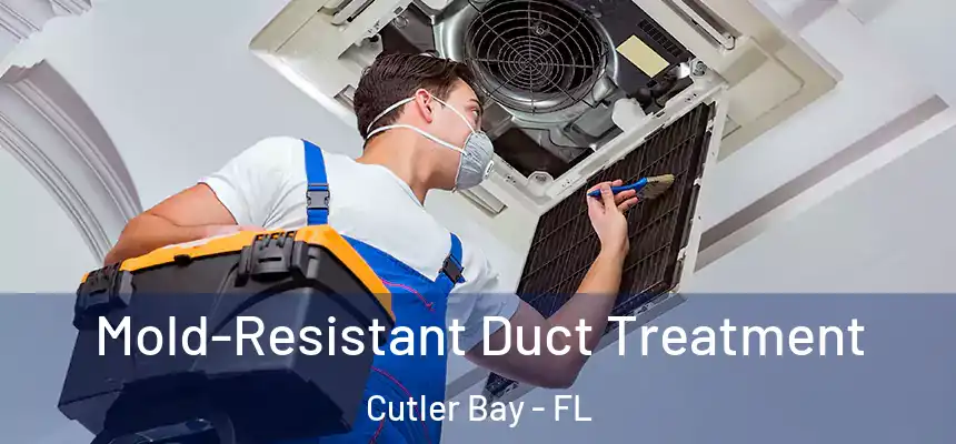  Mold-Resistant Duct Treatment Cutler Bay - FL
