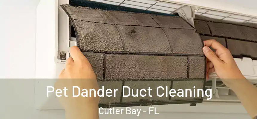  Pet Dander Duct Cleaning Cutler Bay - FL