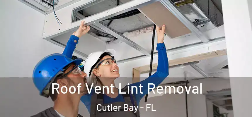  Roof Vent Lint Removal Cutler Bay - FL