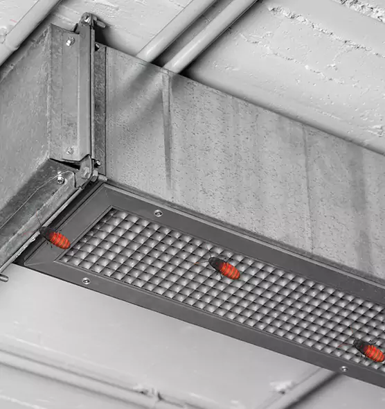 About Air Duct Cockroach Removal in Cutler Bay, FL