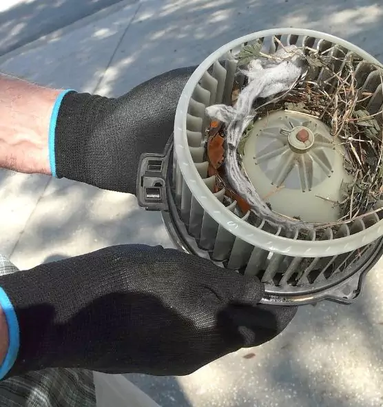 About Air Duct Mice Removal in Cutler Bay, FL