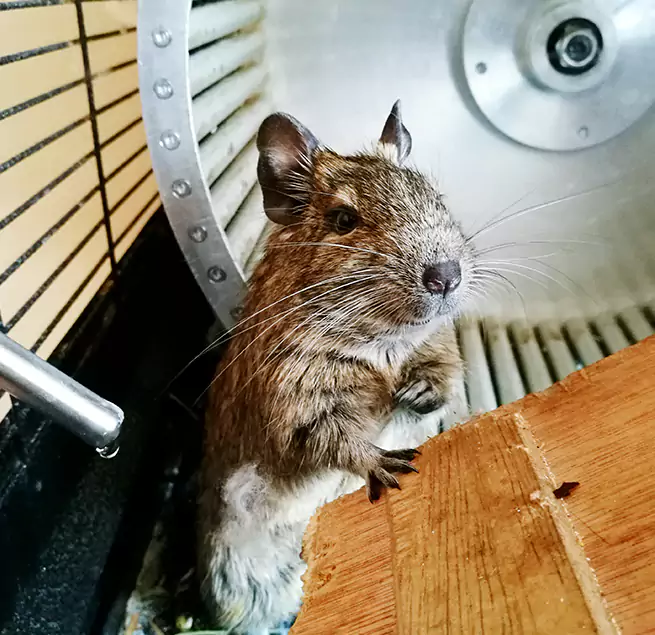 Why Homeowners & Businesses Trust Us Cutler Bay, FL