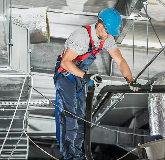 Why Homeowners & Businesses Trust Us in Cutler Bay, FL?