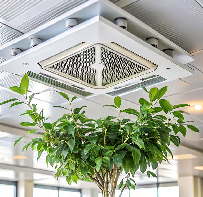 Why Homeowners & Businesses Trust Us in Cutler Bay, FL?