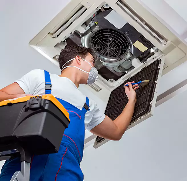 Why Homeowners & Businesses Trust Us in Cutler Bay, FL?