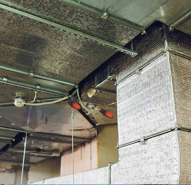 Why Homeowners & Businesses Trust Us Cutler Bay, FL?