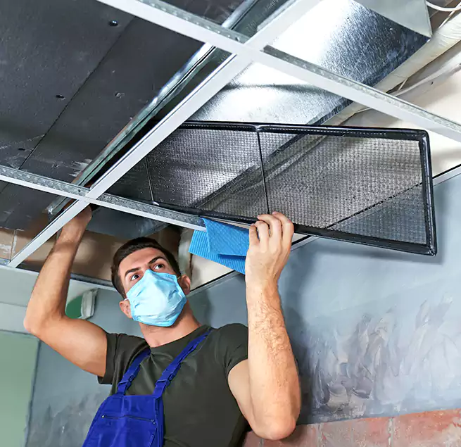 Why Homeowners Businesses Trust Us in Cutler Bay, FL