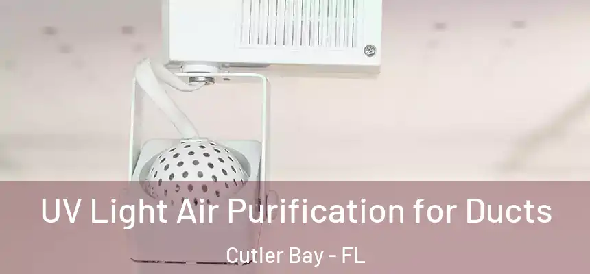  UV Light Air Purification for Ducts Cutler Bay - FL